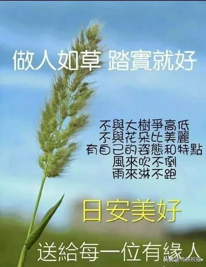 聚会不必多，惦念就好；吃饭不必贵，健康就好，早安