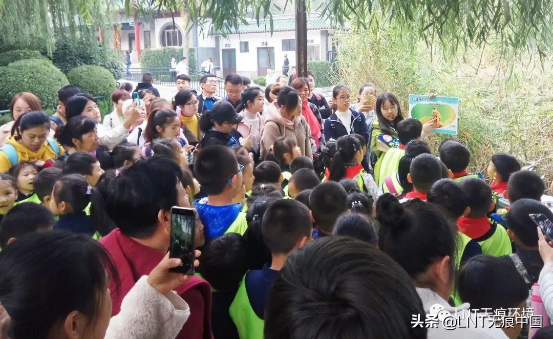 �뱦���Ŷ��ǹ����Ͽɵ��𣨷뱦bao���Ŷ�����ô���£�-��Ʒ�����