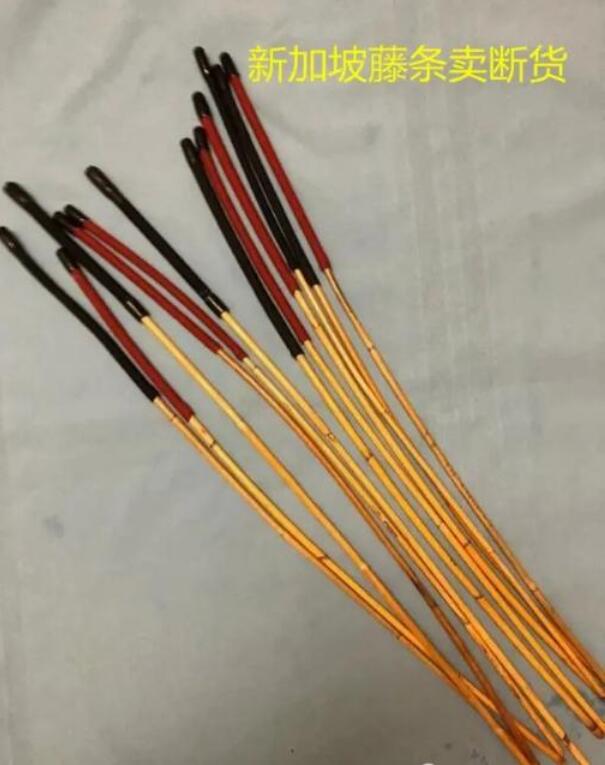 新加坡上网课后，藤条一度卖断货，“棍棒教育”真的有效吗？