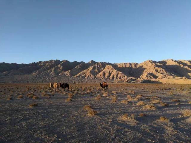 昆仑山死亡谷(中国两大死亡谷之一昆仑山“死亡谷”，科学考察队揭开真相！)