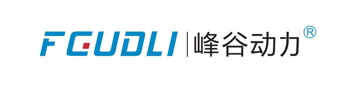 突发停电咋办？盘点百款户外电源，220V输出+PD快充确保电力不断