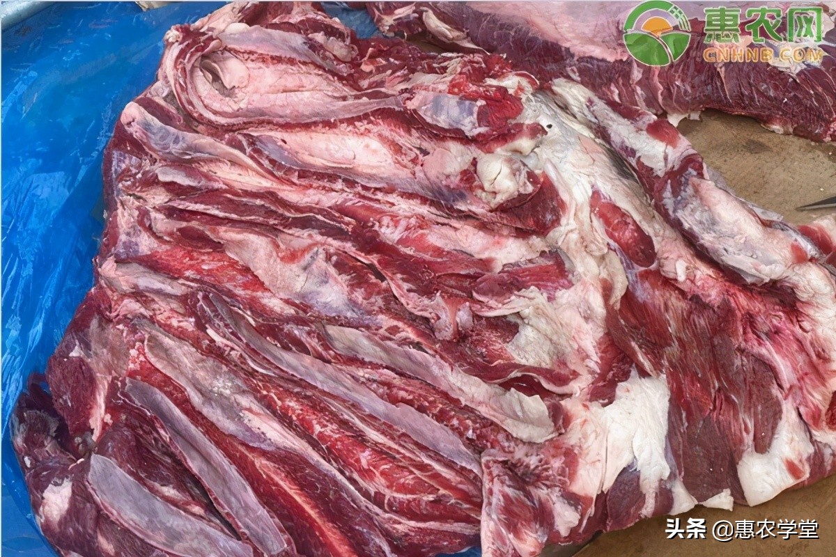 上海牛肉多少錢一斤近期牛肉價格為何下降