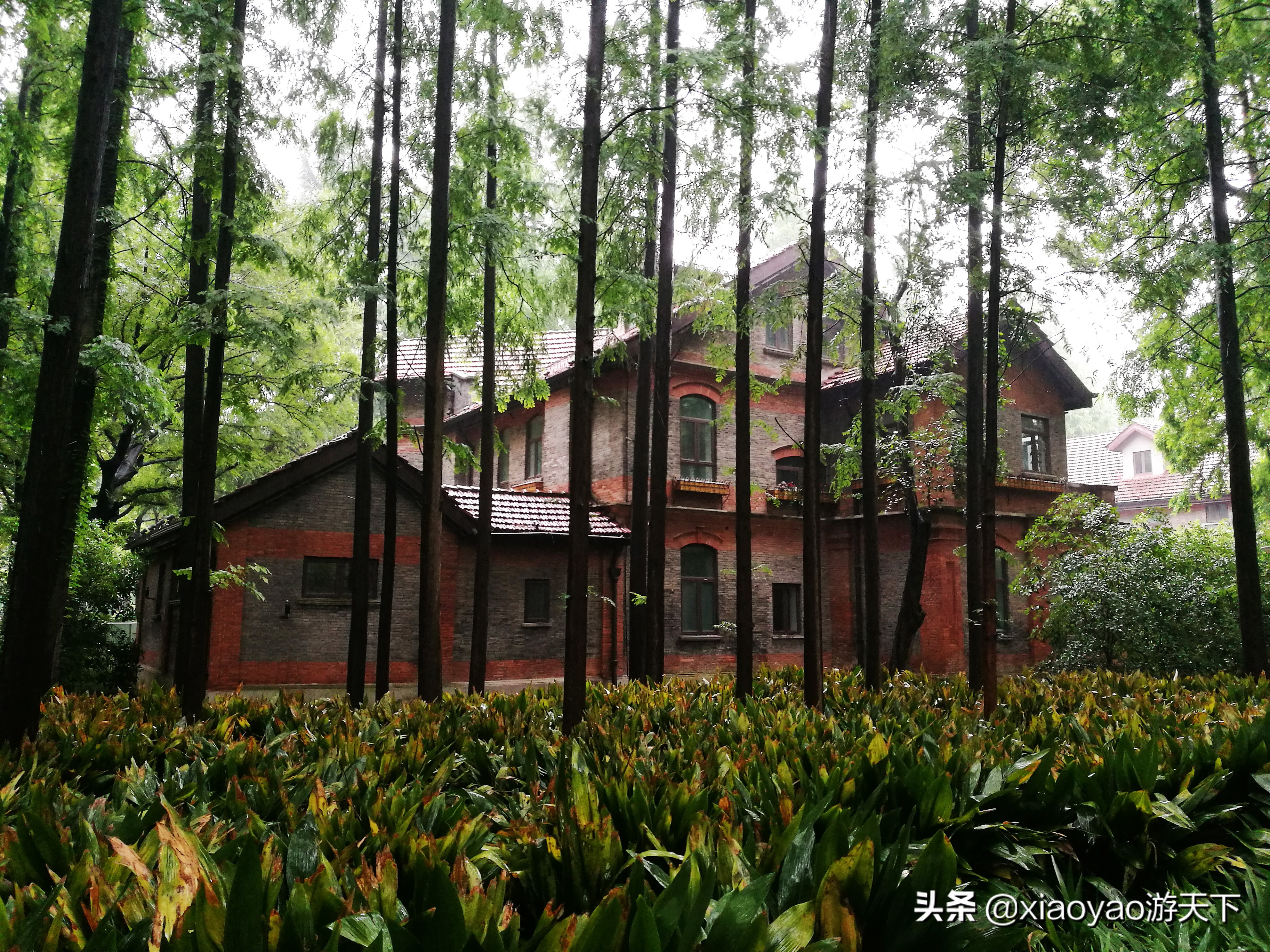 沪江大学旧址,上海最美丽的校园风景之一