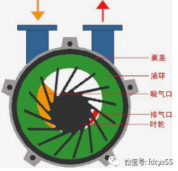 水环式真空泵的工作原理及特点