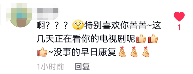 李菁菁前夫跟谁跑了?导演张金华再婚现任老婆张文慈是小三出轨照