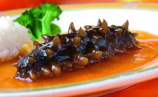 来荣成读大学：在蓝天碧海间绽放最美青春