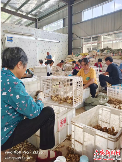 漫水河镇：绿色产业照亮美好乡村致富路