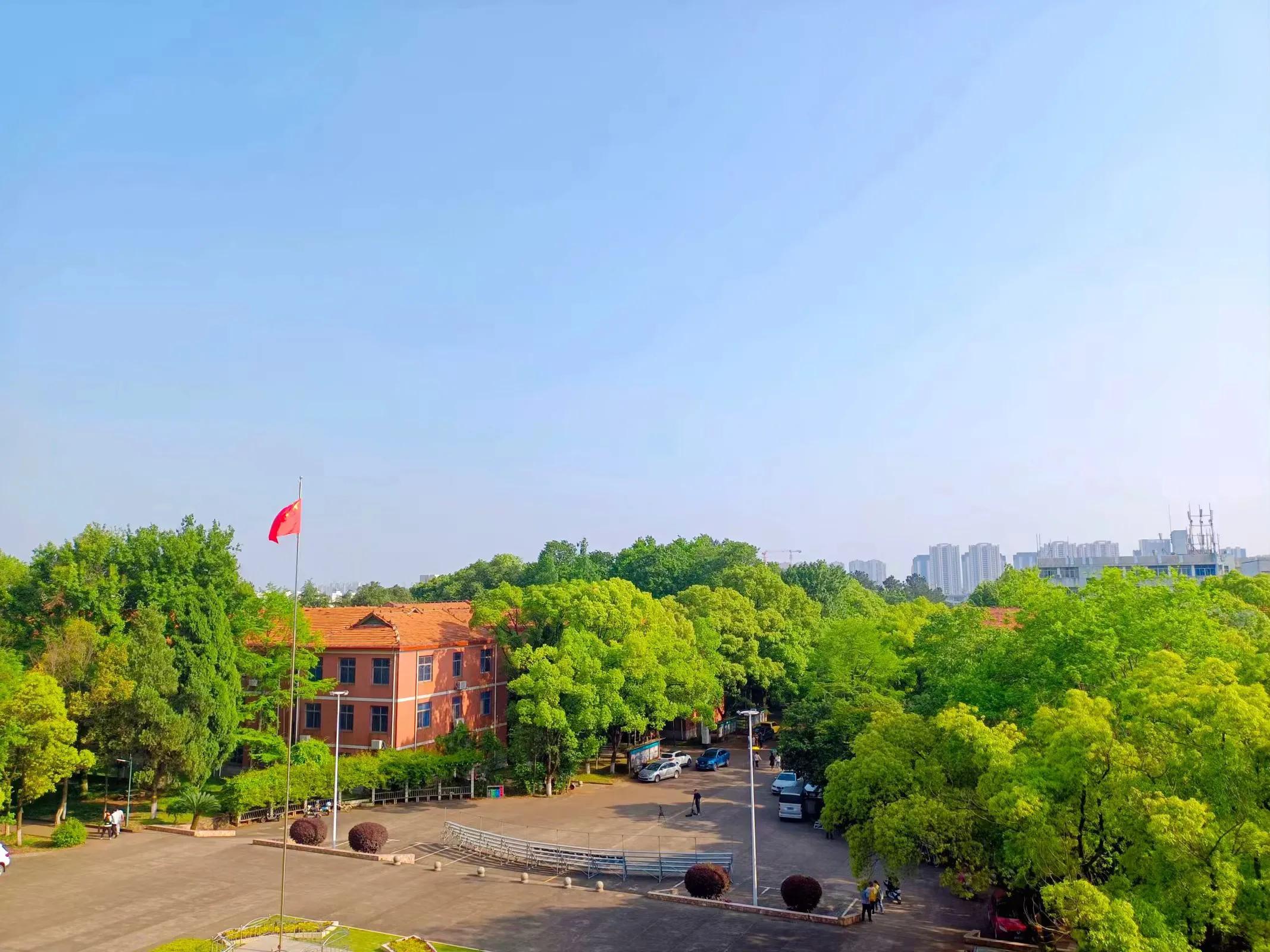 我的高考故事：一个普通女孩从470到560的跨越