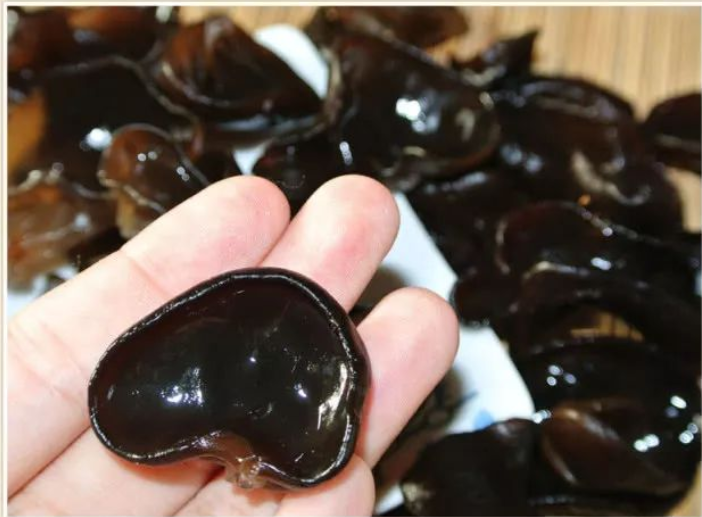 凉拌木耳，直接焯水就错了！加入薄荷，入味脆爽，吃完还想吃