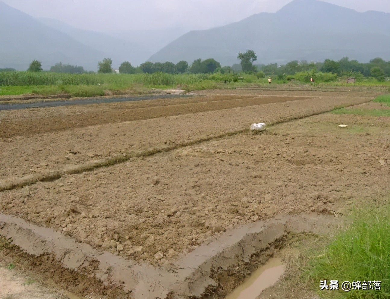 农民注意，土地新规今日开始施行，3个问题3个禁止需要了解