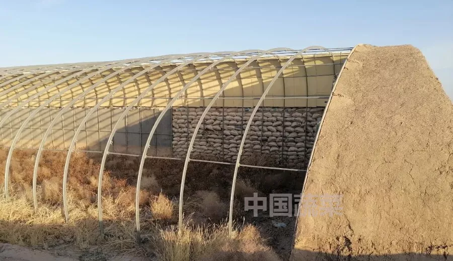 甘肃日光温室探秘!哪种墙体和骨架最“流行”?哪种造价最划算?