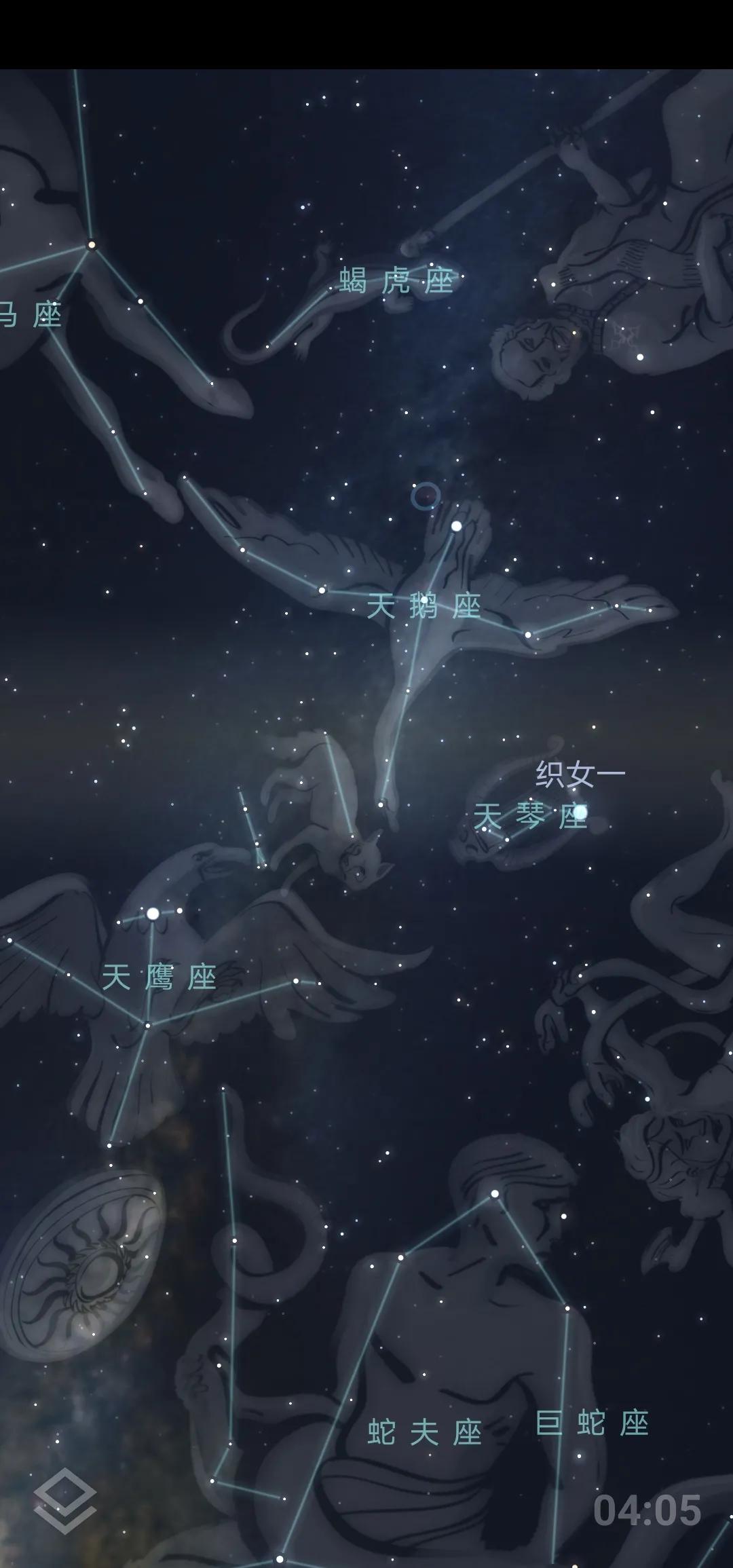 牛郎星是什么星座