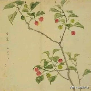 中华传统文化赏析（十五）——《诗经·国风·召南·甘棠》