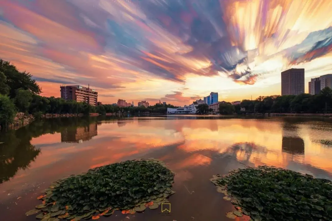 天津大学，为什么是中国最有“侠气”的大学？