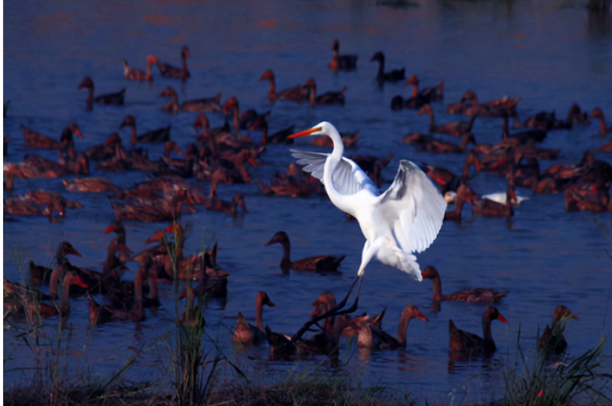 人类真是愚蠢而悲哀的生物（心理学：当你书读多了就会发现，原来身边的人都很愚蠢）