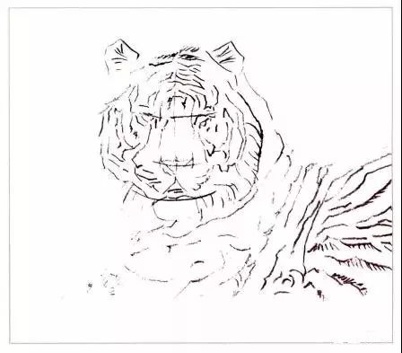 老虎很难画？分步骤教你画老虎，从细节教你，简单易学，快来学习