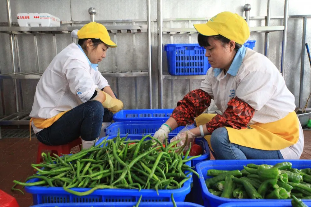 在新津为明学校，安全是一份24小时、365天不能停的责任