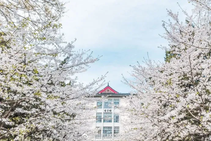 南京9所高校公布综合评价简章！