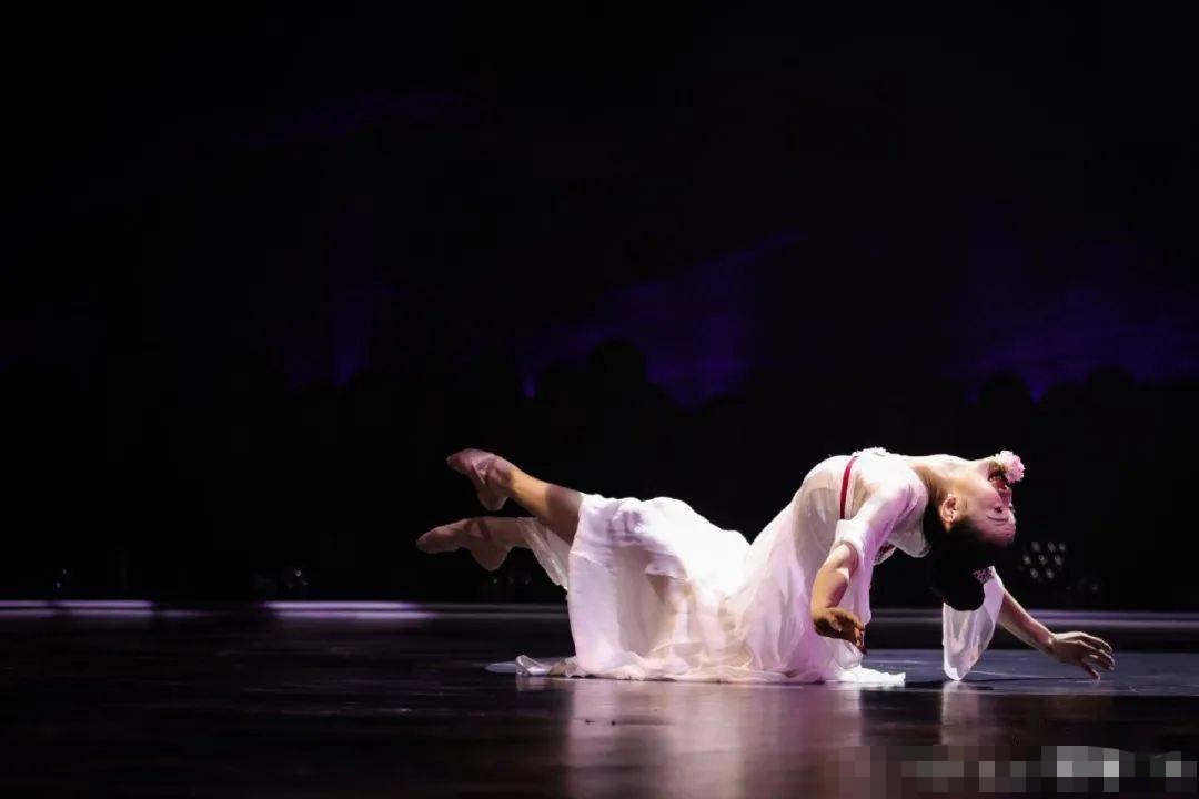 表演什么节目好「年会表演什么节目比较好」
