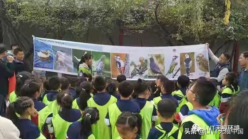 ��feng�����Ŷ��ǹ����Ͽɵ��𣨷뱦bao���Ŷ�����ô����shi��-��8��ͼƬ-��Ʒpin�����