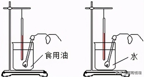 关注董哥悟理！分享初中物理实验大全，祝您圆梦中考