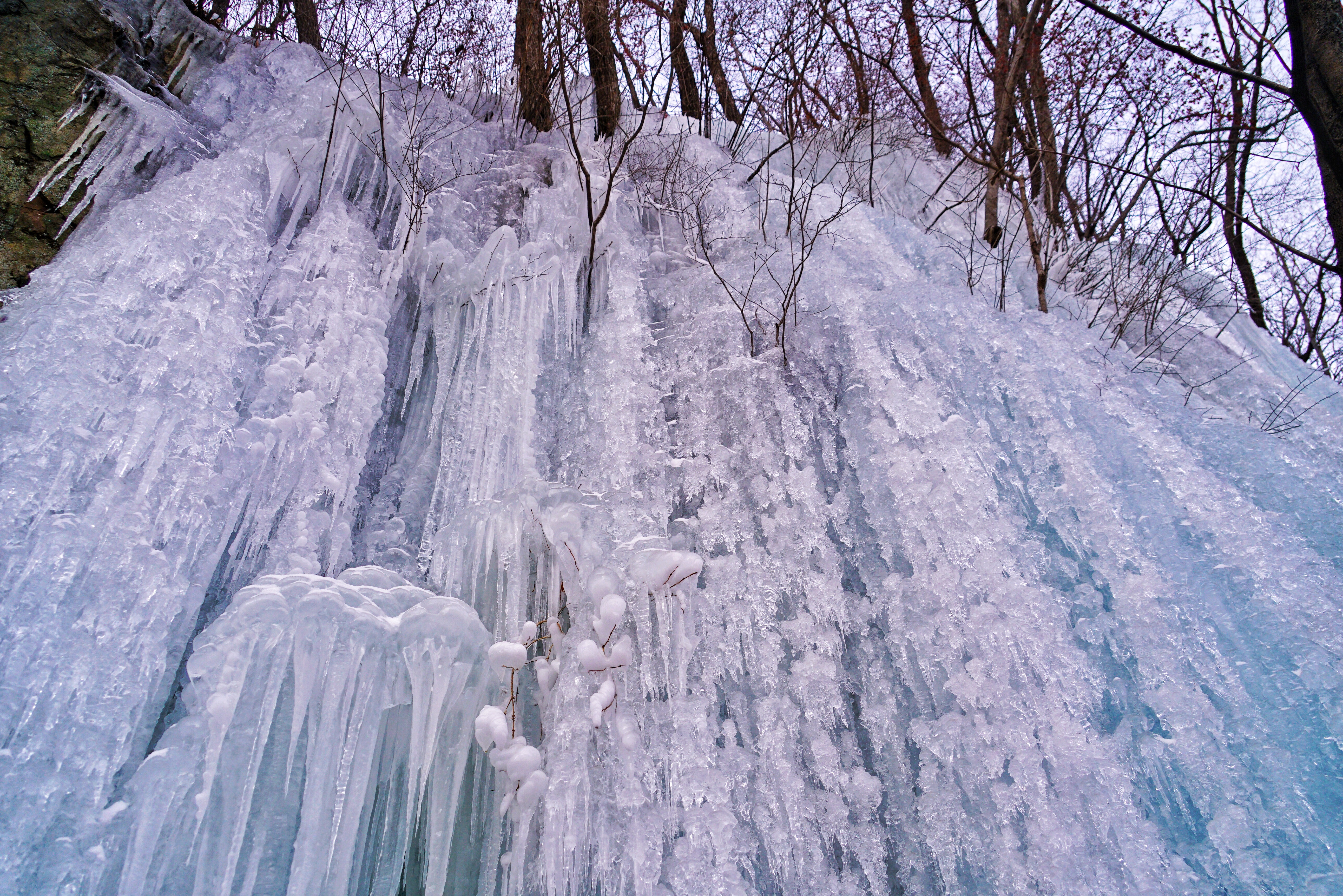 想去东北看雪哪个地方更好(冬季到哪里去看雪？追寻中国最美的雪国仙境)