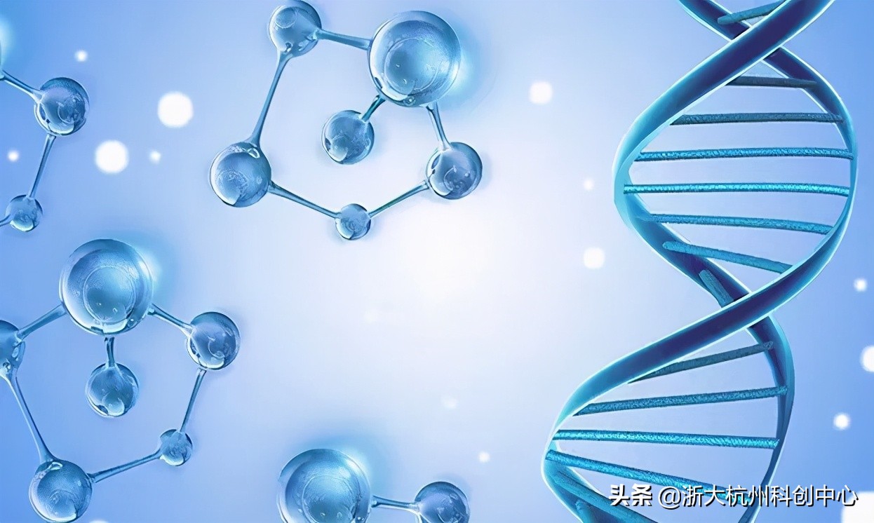 浙江大学化学工程与生物工程学院（未来科学家）