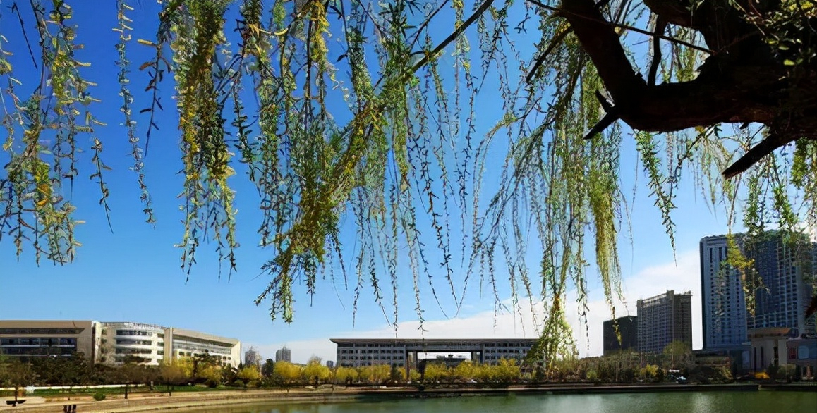 山东大学青岛校区建成后，威海校区将何去何从？