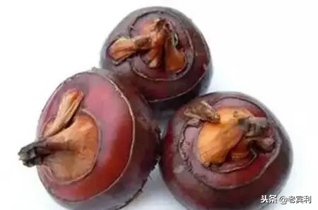 这种东西叫土瓜清甜可口 可做菜炒着吃，可做生果吃你们那叫什么