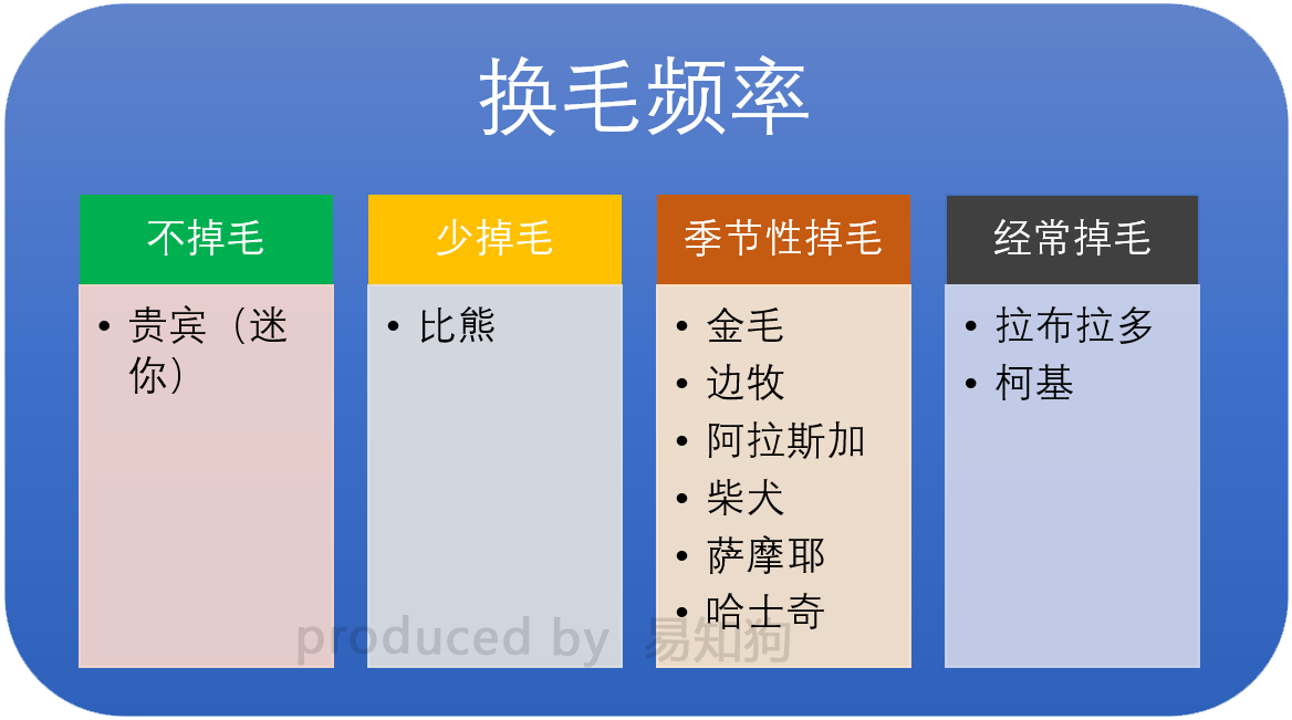 新手养狗必看：国内十大流行犬种横向对比