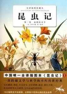 美妙的《昆虫记》笔记（1-1）：圣甲虫