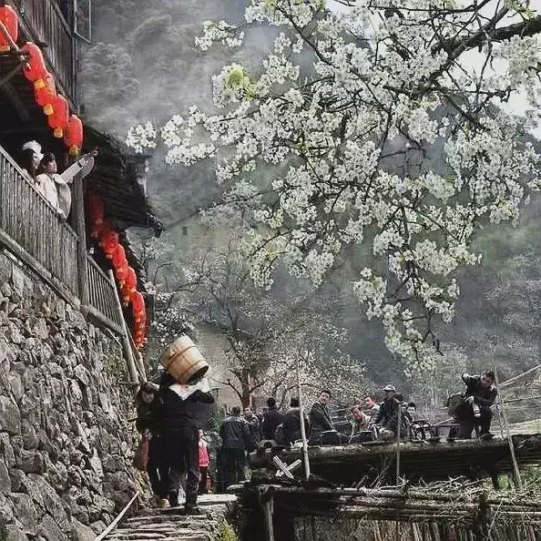 丽水龙泉自驾游 | 这有中国最美的青瓷故事和绝美的小城景色