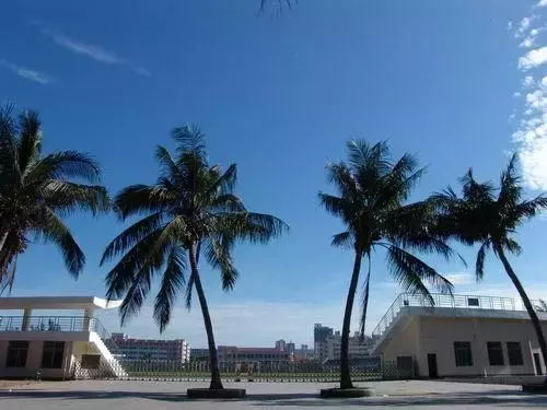 这几所学校专业排在全国前列,竟有人拿来保底?