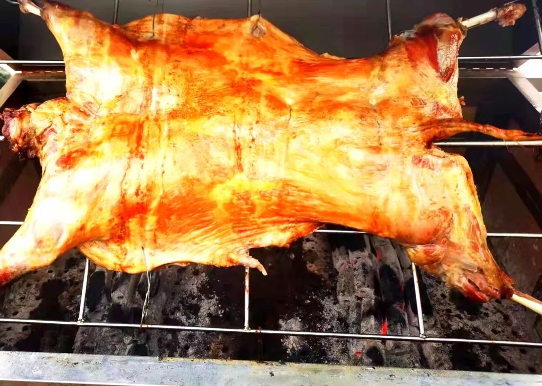 ��Ӫʳ�����£���ε�71���ž�����Ұ��ʦ���ֲ�������