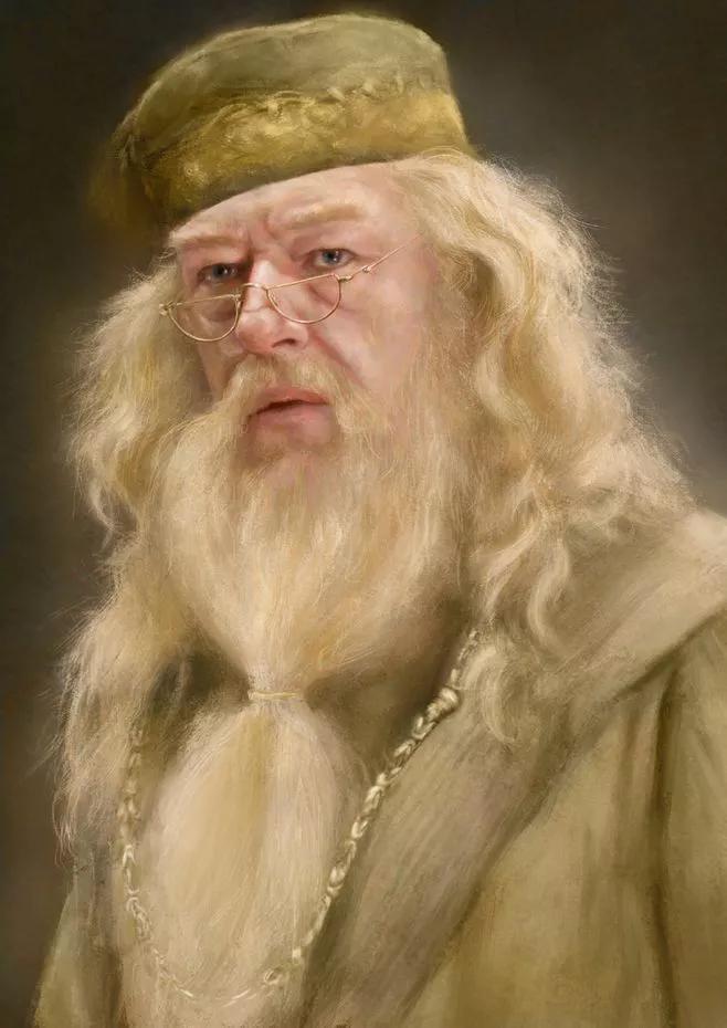 在霍尔沃兹的老师中，最讨厌的就是邓布利多，没有之一