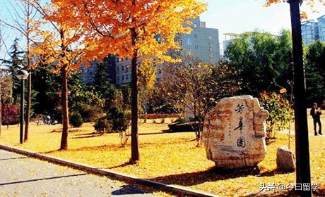 北京交通大学3+2项目留学优势是什么？