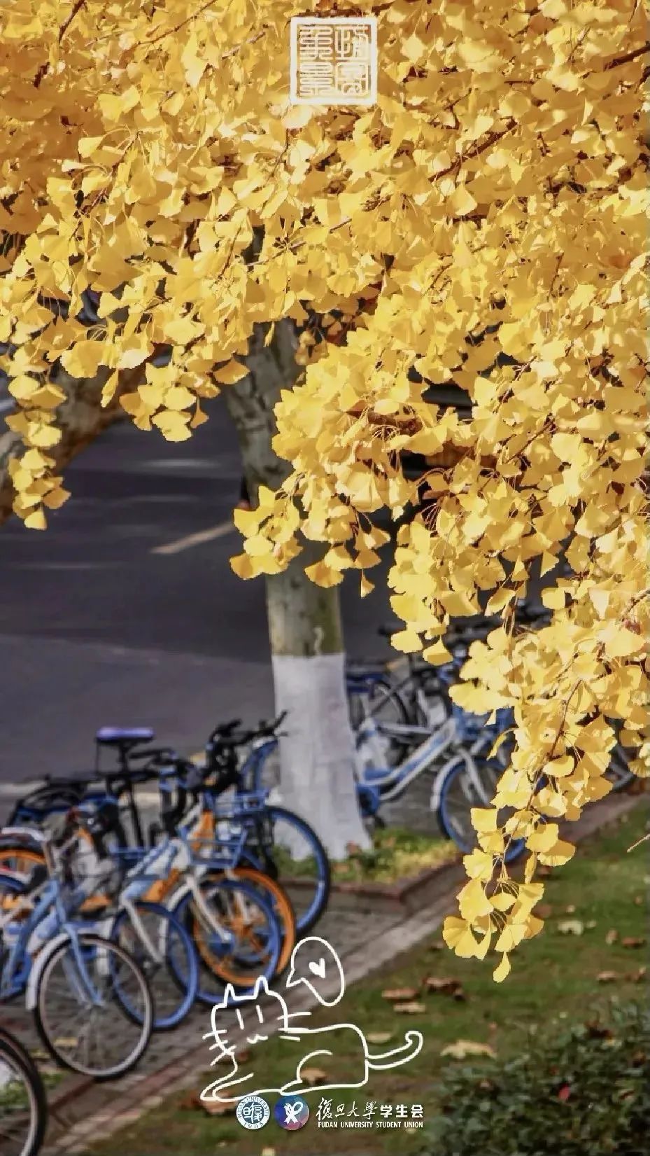 你的理想大学，终于被做成了手机壁纸