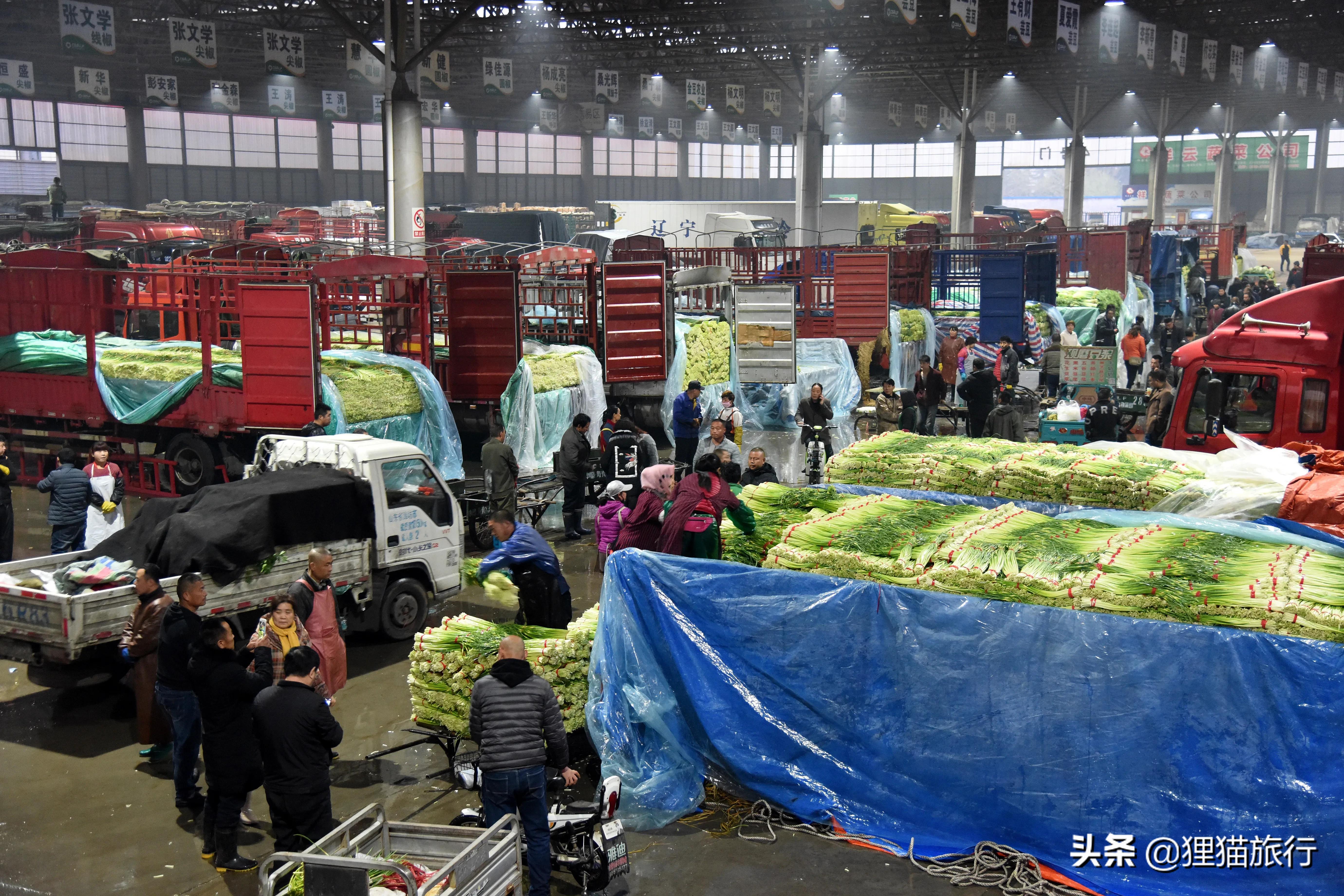 山东寿光是冬暖式蔬菜大棚发源地，被称为中国菜都，也是沿海城市