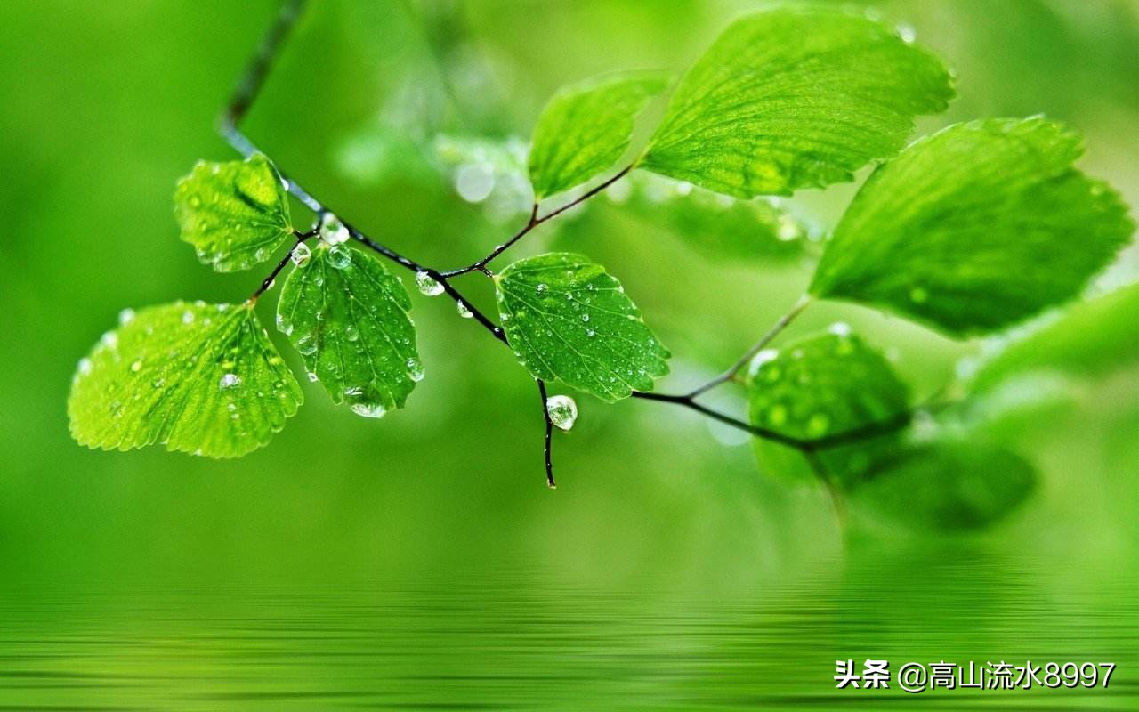 HR员工流动率计算方法与离职率统计分析