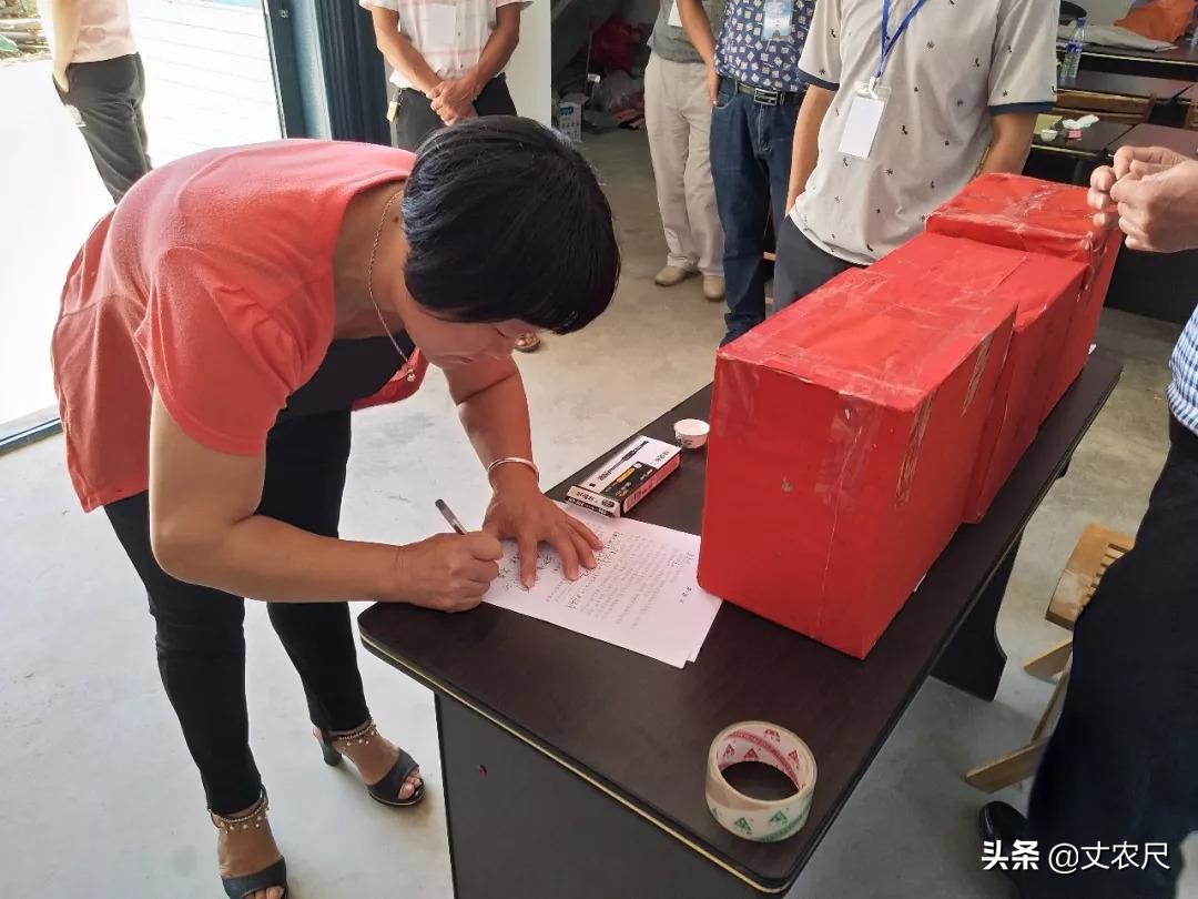 为何大学生村官不吃香？村干部选举“新年新规”，不只是任期延长