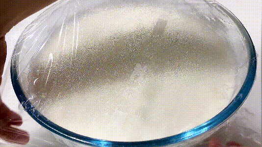 20年前卖2毛钱1个的大米发糕，筷子简单一搅，松软开花零失败
