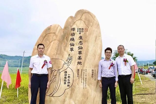 悸动、挞柠获评十大最具潜力茶饮，上海成最大赢家