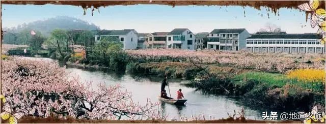 国内第一个盈利的田园综合体，看她有何绝招？