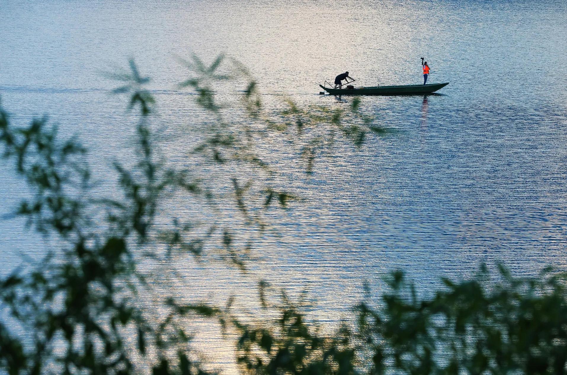 每日一诗《凉州词》赏析