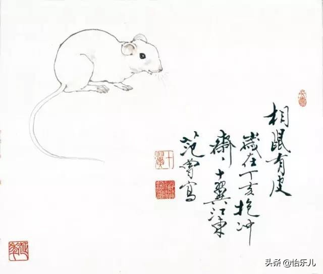 福鼠抬头迎新春(鼠年话鼠，这些诙谐生动的“鼠趣图”，包你有“鼠”不尽的欢乐)