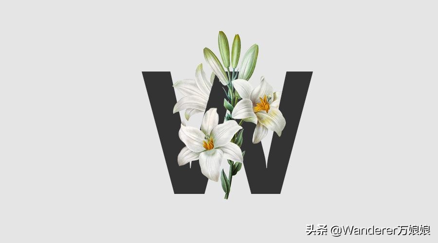 经典英语作文句子：26个字母，26句话，每一句都值得你用一生品读