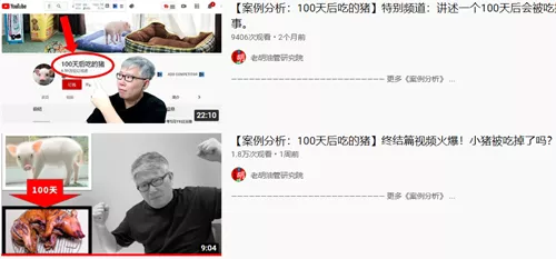 日本主播把养了100天的宠物猪烤着吃了,结果不到10天猪又复活了
