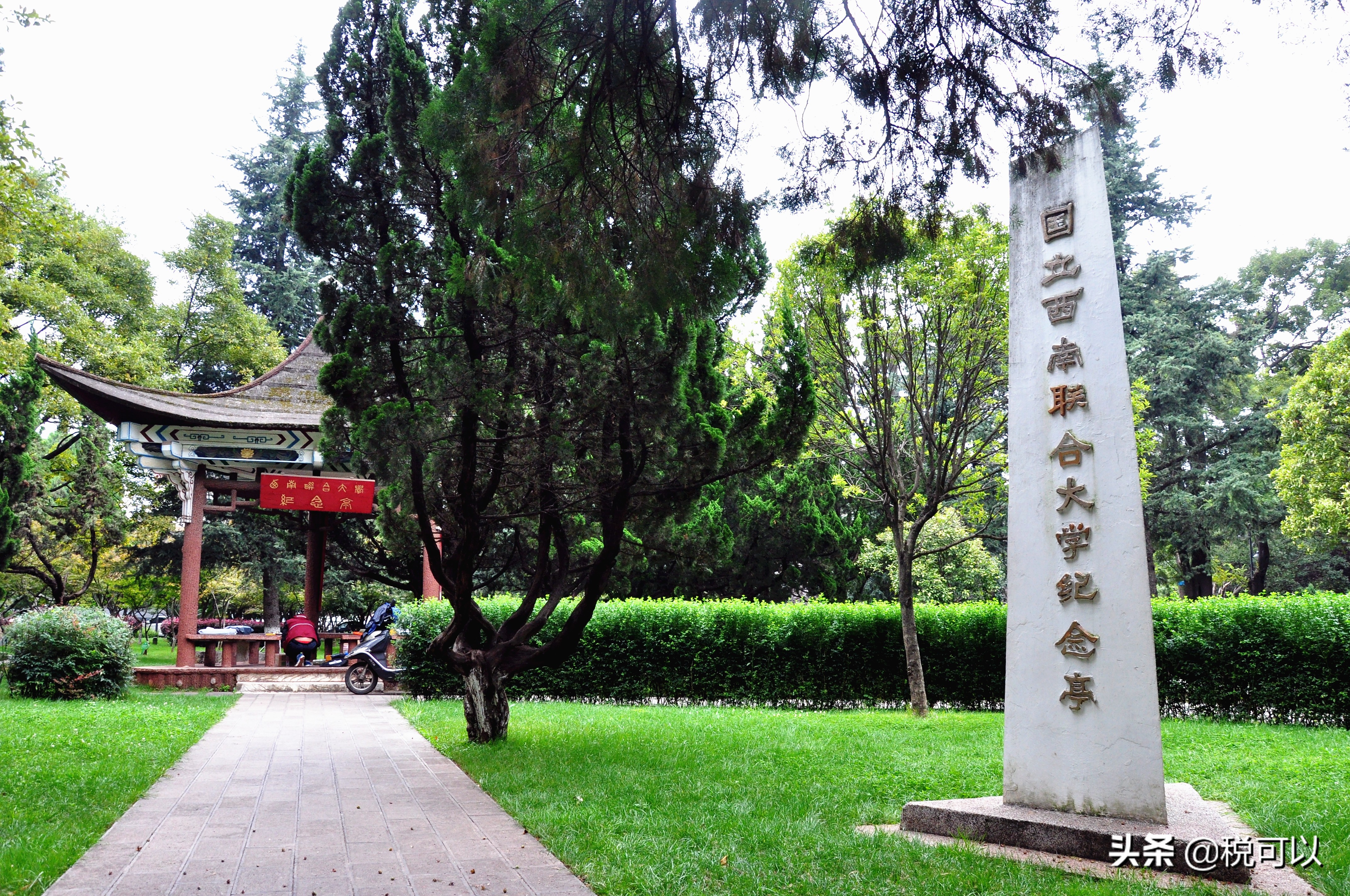 云南师范大学，和80年前的西南联大，到底啥关系？