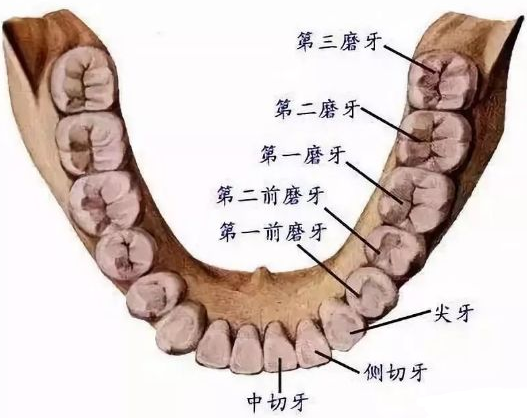 根管治疗这么贵，到底贵在哪？听听医生怎么说