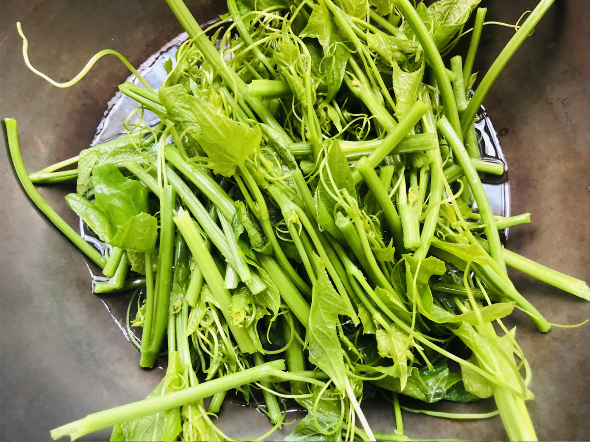 夏天，遇到这菜别错过，虽然价钱略贵，但却非常爽口好吃，值得了